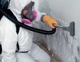 Best Residential Mold Inspection & Testing  in USA